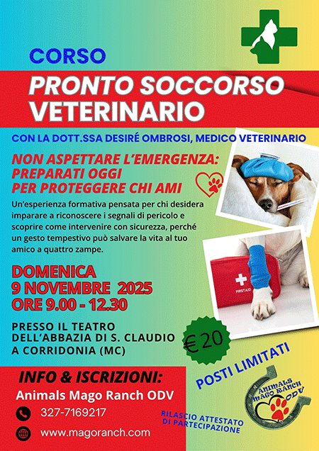 corso di pronto soccorso veterinario organizzato da Animals Mago Ranch ODV con la partecipazione della Dott.ssa Desiré Ombrosi, medico veterinario
